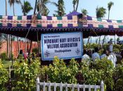 BEACH OLYMPIC 8TH FEB 2015